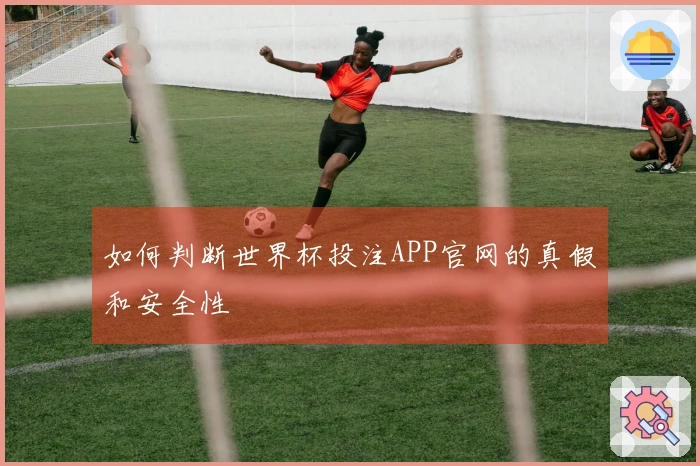 如何判断世界杯投注APP官网的真假和安全性