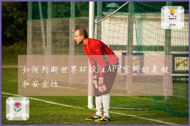 如何判断世界杯投注APP官网的真假和安全性