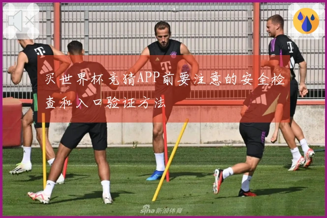 买世界杯竞猜APP前要注意的安全检查和入口验证方法