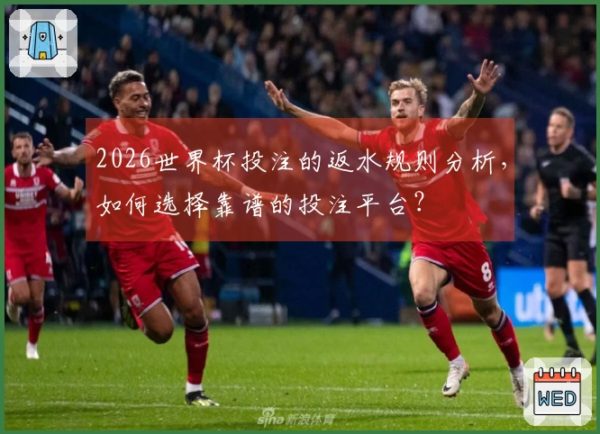 2026世界杯投注的返水规则分析，如何选择靠谱的投注平台？