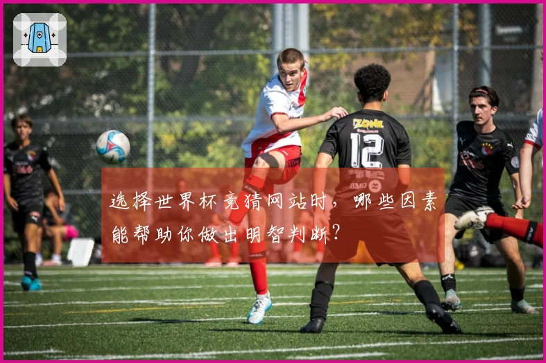 选择世界杯竞猜网站时，哪些因素能帮助你做出明智判断？