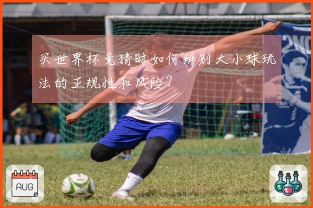 买世界杯竞猜时如何辨别大小球玩法的正规性和风险？
