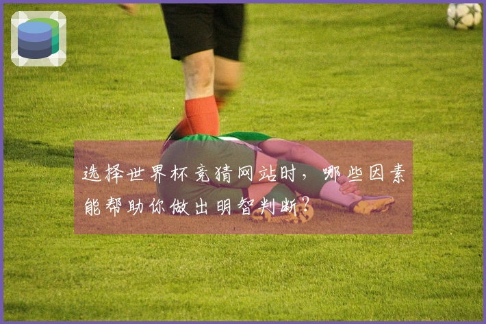 选择世界杯竞猜网站时，哪些因素能帮助你做出明智判断？